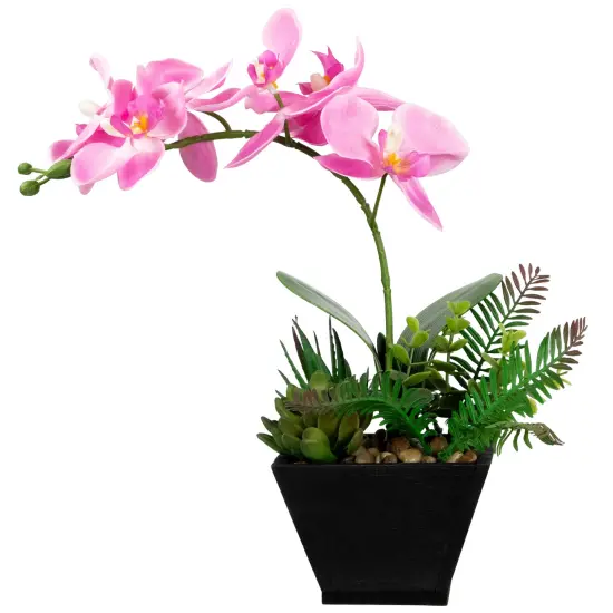 Northlight Artificial Orchid with Succulent Plants - 13" - Light Pink {1}