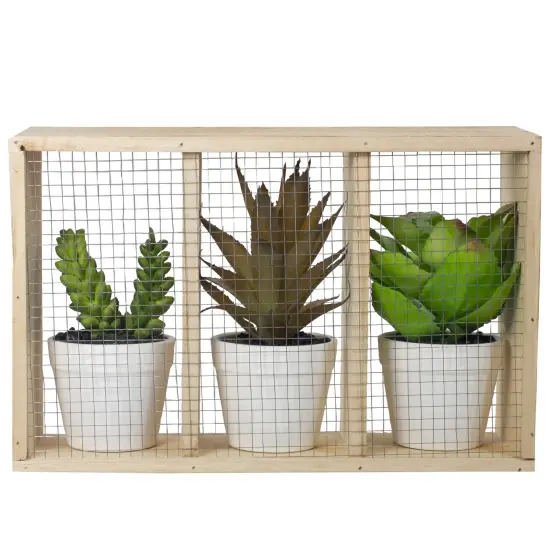 Northlight 10.75" Artificial Mixed Potted Succulents in Wooden Box Brown {5}