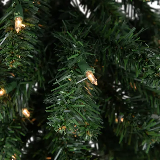 Northlight 3' Pre-Lit Buffalo Fir Artificial Christmas Wall or Door Tree, Clear AlwaysLit Lights Green {6}