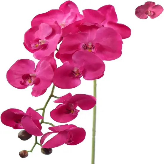 Artificial Orchids Real Touch Phalaenopsis Flowers - Lifelike and Elegant Decoration {1}