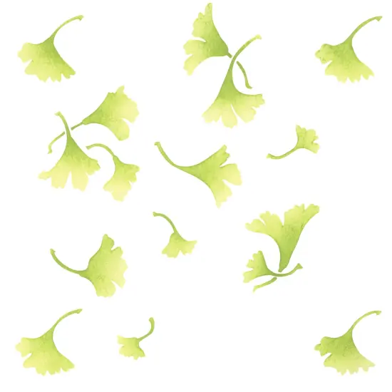 Ginkgo Wallpaper Wall Stencil | 2691 by Designer Stencils | Floral Stencils | Reusable Art Craft Stencils for Painting on Walls, Canvas, Wood | Reusable Plastic Paint Stencil for Home Makeover | Easy to Use & Clean Art Stencil {1}