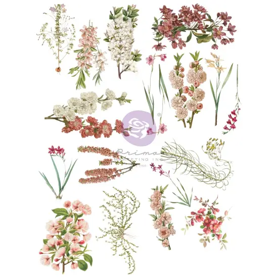 Prima Marketing Inc Sharon Ziv Transfers - Bloom - 4 Sheets, 8.5"x11" *For Paper Surface Only.* 655350930295 {1}