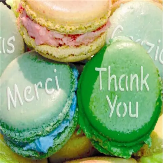 International Thank You Cookie Stencil Set: Thank You, Danke, Gracias, Dank U, Grazie, Merci | C822 by Designer Stencils | Cookie Decorating Tools | Baking Stencils for Royal Icing, Airbrush, Dusting Powder | Reusable Food Grade Stencil {2}