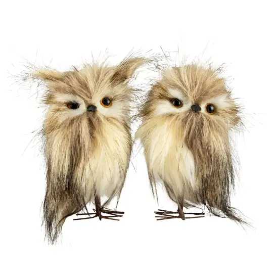Northlight Set of 2 Brown and Ivory Owls Figures {1}
