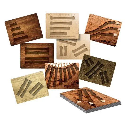 Yellow Door Dinosaur Bones Match & Measuring Cards - Set of 16 {1}