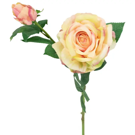 Northlight Real Touch&trade; Cream and Pink Artificial Rose Stems, Set of 6 - 26" Ivory {6}