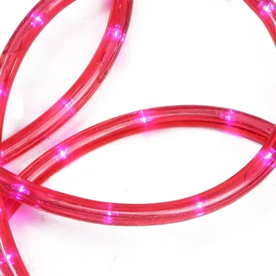 Sienna LED Christmas Rope Lights - Deep Pink Tube - Clear Lights - 18' {3}
