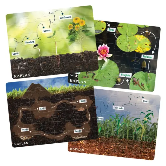 Kaplan Early Learning Company Realistic Animal and Plant Life Cycle Floor Puzzles - Set of 4 {1}
