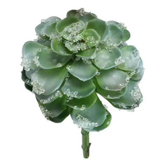 Allstate Frosted Echeveria Succulent Artificial Christmas Pick - 10" - Green {1}