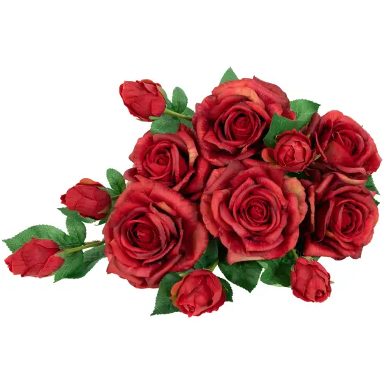 Northlight Real Touch&trade; Red Artificial Rose Stems, Set of 6 - 26" {7}