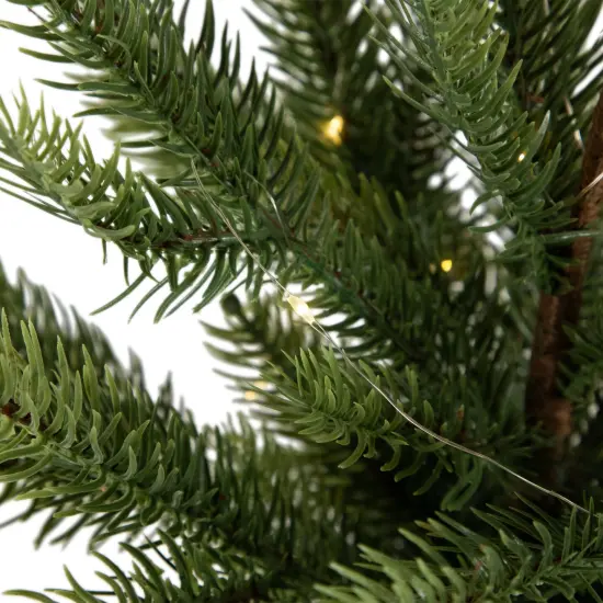 Northlight Pre-Lit Artificial Pine Christmas Tree with Basket Base - 20" - Warm White LED Lights Green {5}