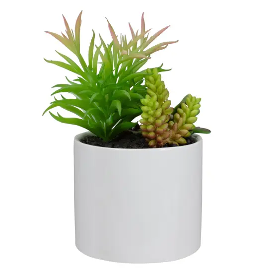 Northlight 9" Artificial Succulent Arrangement in White Ceramic Pot {4}