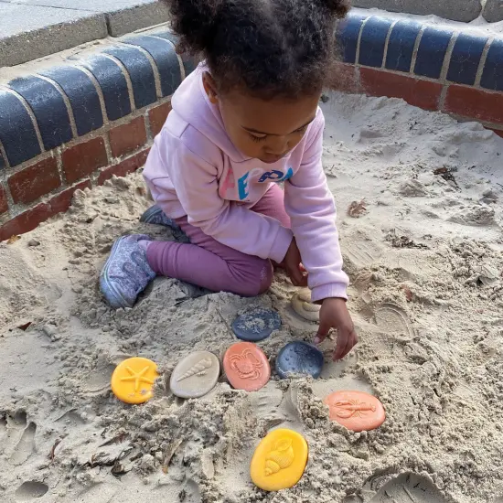 Yellow Door Let's Investigate - Seashore - Set of 8 Stones {5}