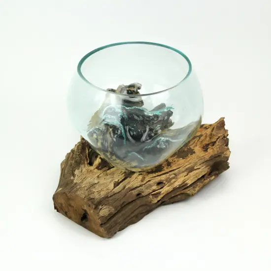 Blown Melted Glass Decorative Bowl / Terrarium On Teak Driftwood Base {3}