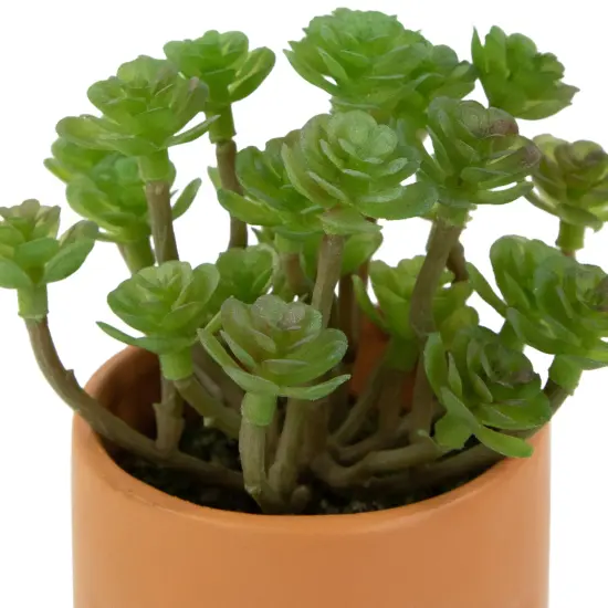 Northlight Mini Artificial Succulent in Face Planter Pot - 5.5" Green {4}