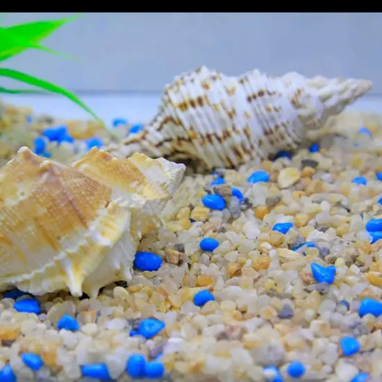 6Lbs Natural River Rocks, Succulent Cactus Gravel for Plants, Bonsai Decorative Pebbles, Planters Stones, Potting Grit for Gardening, Flower Pots, Vase Fillers, Indoor Water Fountains, Landscaping {7}