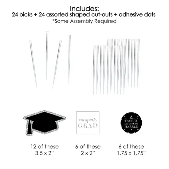 Big Dot of Happiness Tassel Worth The Hassle - Silver - Treat Picks - Set of 24 {7}