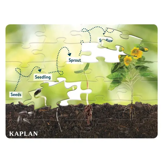 Kaplan Early Learning Company Realistic Animal and Plant Life Cycle Floor Puzzles - Set of 4 {3}