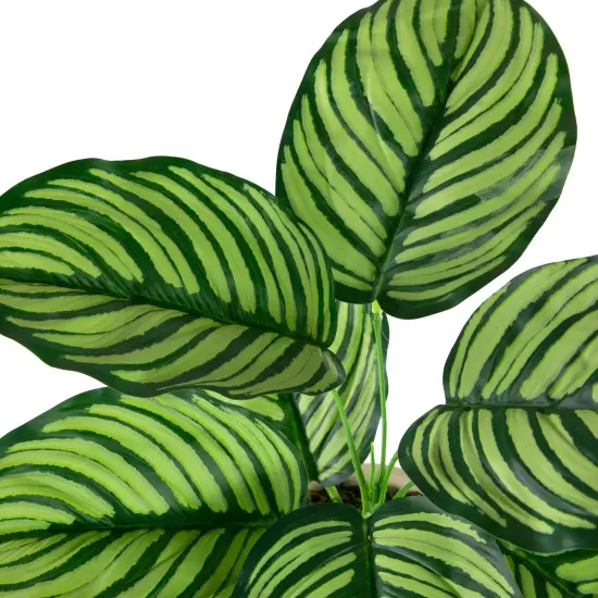 Northlight 13" Artificial Prayer Plant in Beige Ceramic Pot Green {7}