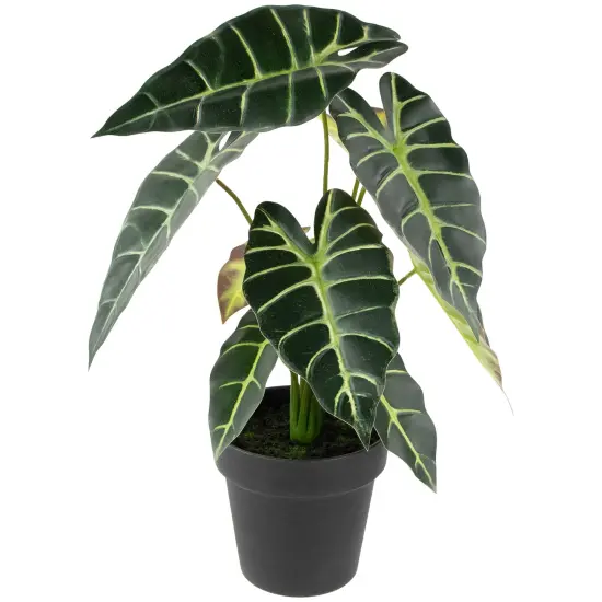 Northlight Real Touch&trade; Artificial Taro Plant in Black Pot 18" Green {1}