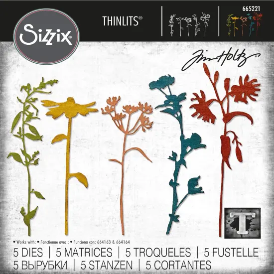 Sizzix Thinlits Dies By Tim Holtz 5/Pkg-Wildflower Stems #3 {1}