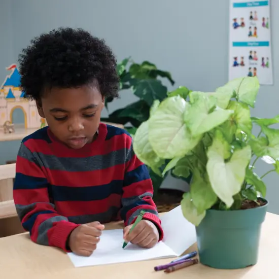 Kaplan Early Learning Company Standard Crayons Class Pack - 800 Per Box {4}