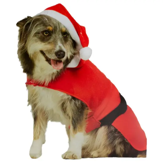 Northlight Santa Claus Christmas Dog Costume with a Hat - Size M Red {3}