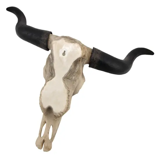 Huge Wall Hanging Longhorn Cow Skull 27in Wide Resin Long Horn Steer Wall Decor {4}