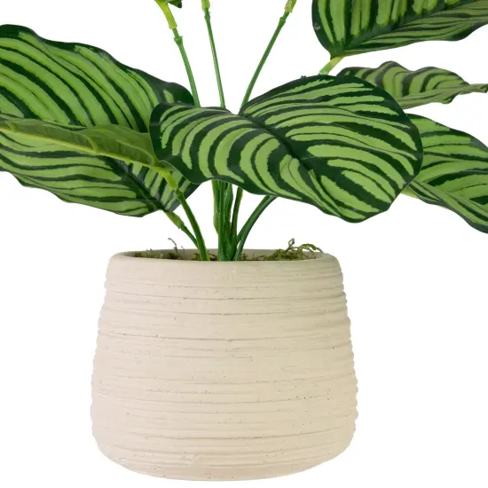 Northlight 13" Artificial Prayer Plant in Beige Ceramic Pot Green {5}