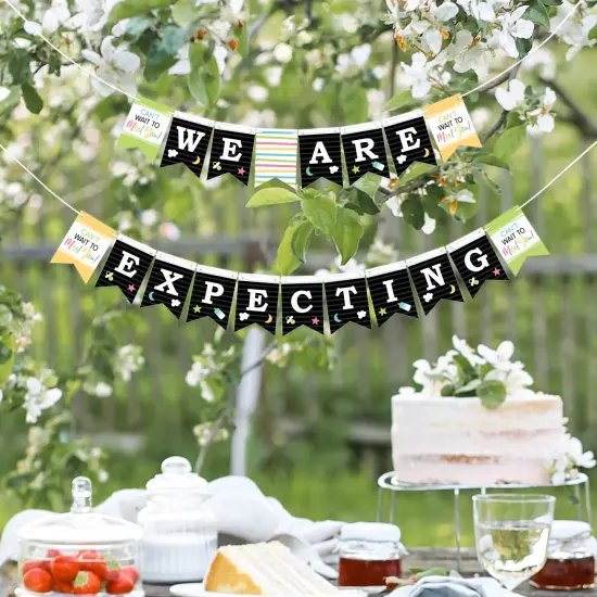 Big Dot of Happiness We Are Expecting - Pregnancy Announcement Mini Pennant Banner - We Are Expecting {7}