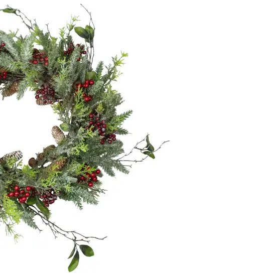 Northlight Frosted Pine and Berry Artificial Christmas Wreath, 25-Inch, Unlit Green {4}
