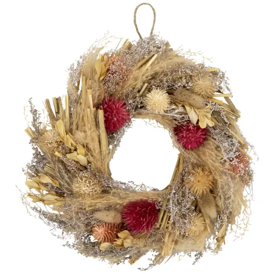 Northlight Pampas Grass and Dried Fall Harvest Floral Wreath - 11" Beige {1}