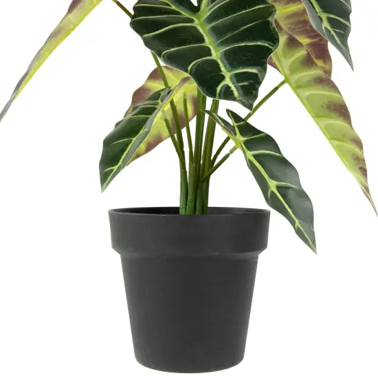 Northlight Real Touch&trade; Artificial Taro Plant in Black Pot 18" Green {4}