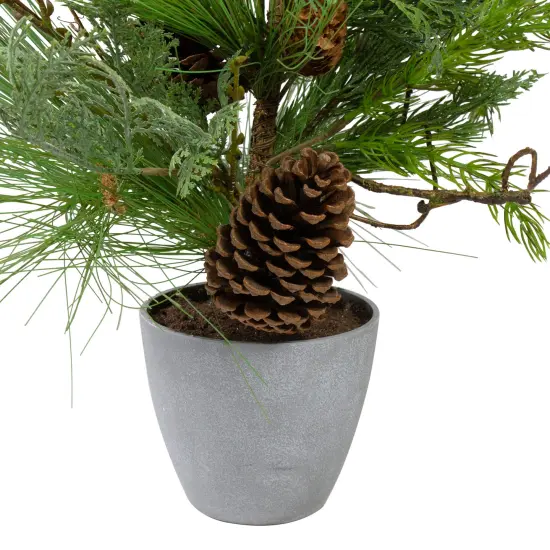 Northlight Real Touch&trade;️ Potted Mixed Pine and Cedar Artificial Christmas Tree - 24" - Unlit Green {3}