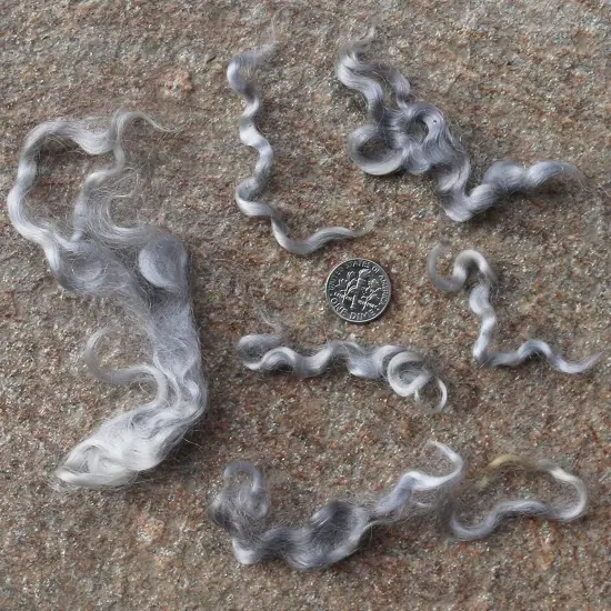 SILVER MOHAIR LOCKS. Organic Hand-Dyed Curly Wool for Rooting Doll Hair, Felting, Blending, Spinning. 1oz {3}