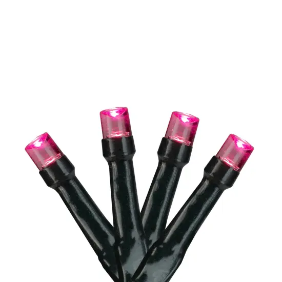 Northlight LED Wide Angle Christmas Lights - Pink - 9.5' Black Wire - 20ct {1}