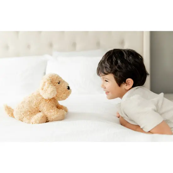 Intelex Warmies Microwavable Plush 13" Golden Dog {5}