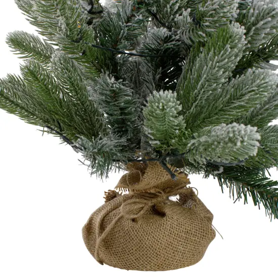 Northlight B/O Frosted Pine Artificial Christmas Tree with Burlap - 2' - Warm White Lights Green {4}