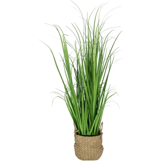 Northlight 28" Artificial Onion Grass Plant in Basket Green {1}
