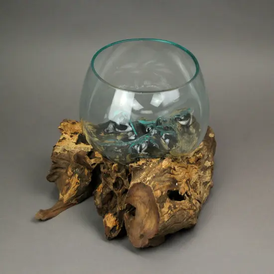 Blown Melted Glass Decorative Bowl / Terrarium On Teak Driftwood Base {4}