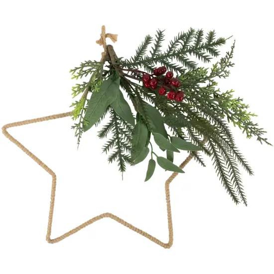 Northlight Mixed Pine Foliage and Berries Star Hanging Christmas Ornament - 11" Green {1}