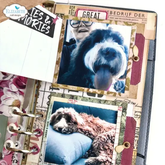 Elizabeth Craft Metal Dies-Tab 6 with turnbutton frame {3}