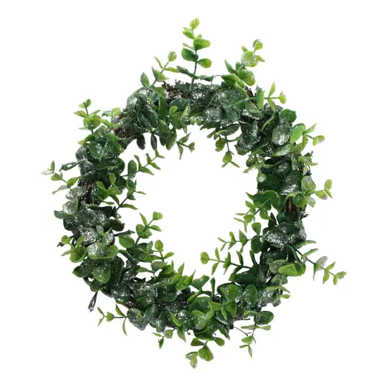 Northlight Sparkling Silver and Green Grass Decorative Artificial Christmas Wreath - 8.75-Inch, Unlit {1}