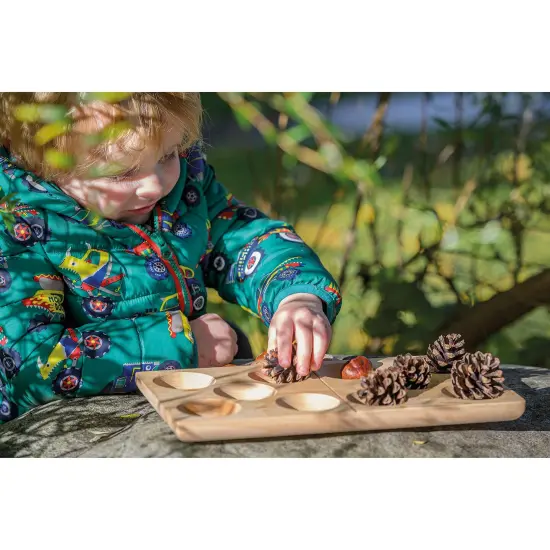 10-Frame Domino Tray {4}