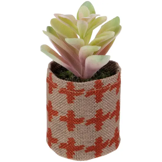 Northlight Artificial Pastel Succulent in Burlap Bag - 4.75" Multi {4}