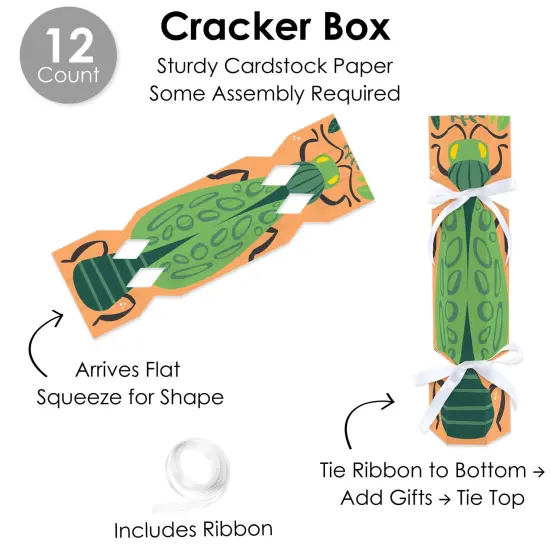 Big Dot of Happiness Buggin' Out - No Snap Bugs Birthday Party Table Favors - DIY Cracker Boxes - Set of 12 {7}