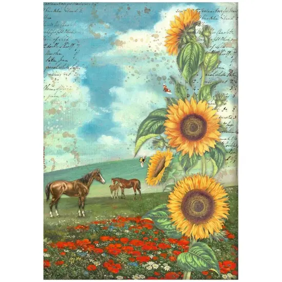 Stamperia Assorted Rice Paper A4 6/Sheets-Sunflower Art {2}