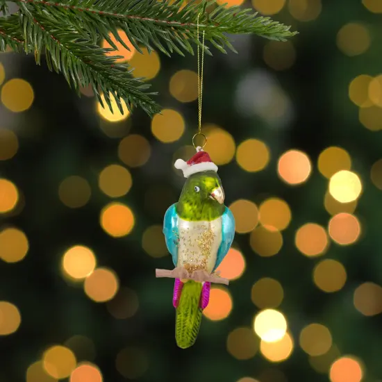 Northlight 6.25" Green and Blue Parrot in a Santa Hat Glass Christmas Ornament {3}
