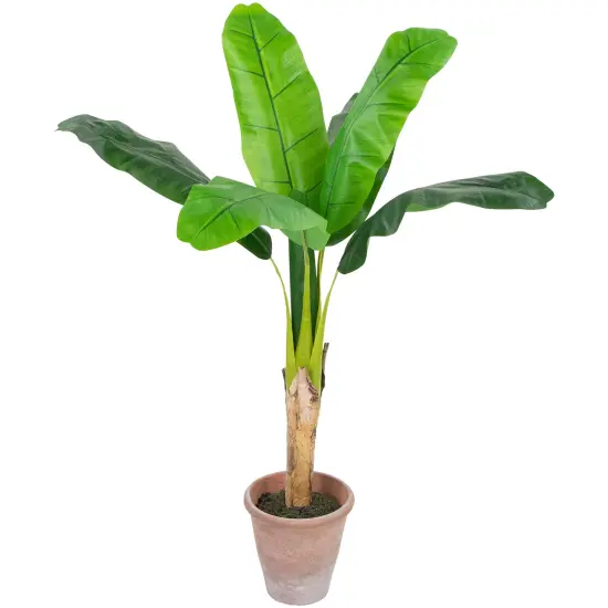 Northlight 4' Artificial Tropical Banana Tree in a Clay Pot Green {4}