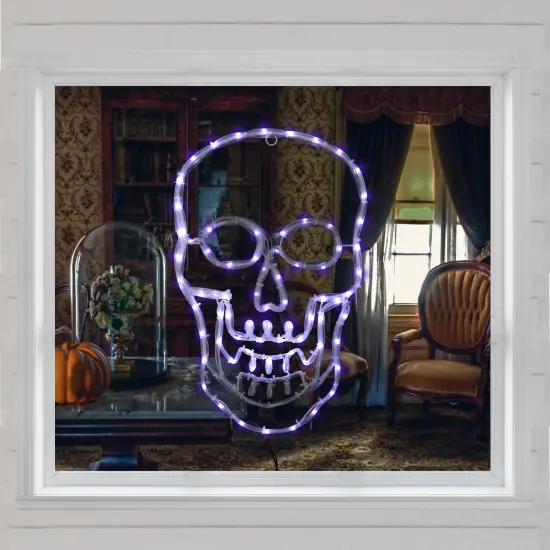 Northlight LED Lighted 4 Function Skull Halloween Window Decoration - 18" White {4}